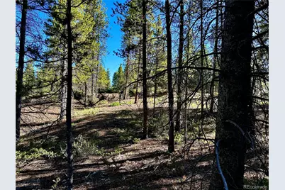 3052 Excelsior, Leadville, CO 80461 - Photo 10