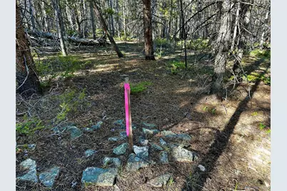 3052 Excelsior, Leadville, CO 80461 - Photo 8