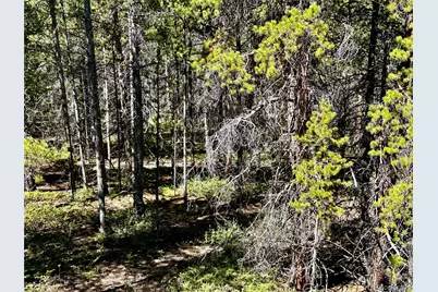 3052 Excelsior, Leadville, CO 80461 - Photo 14
