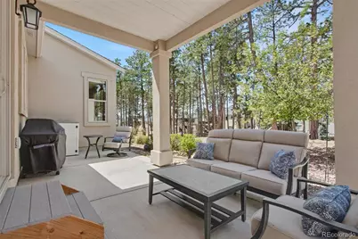 16464 Woodward Terrace, Monument, CO 80132 - Photo 42
