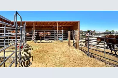 20892 Silverado Hill View, Colorado City, CO 80928 - Photo 8