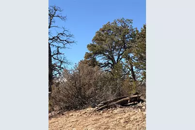 000 41st Trail, Cotopaxi, CO 81223 - Photo 16