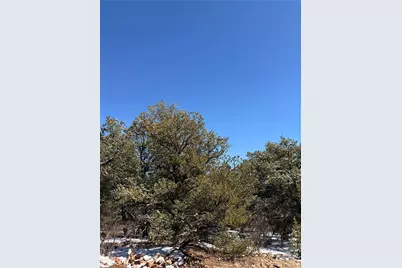 000 41st Trail, Cotopaxi, CO 81223 - Photo 12