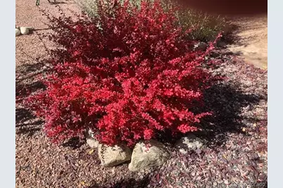 18311 Wagon Trail, Buena Vista, CO 81211 - Photo 42