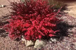 18311 Wagon Trail, Buena Vista, CO 81211 - Photo 42