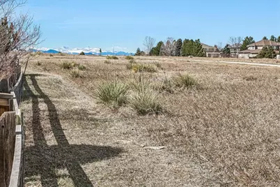 4597 Whitehall Lane, Highlands Ranch, CO 80126 - Photo 24