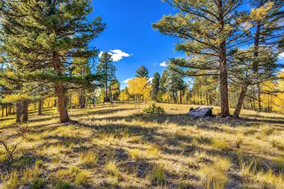 72 Buffalo Creek Trail, Florissant, CO 80816 - Photo 10
