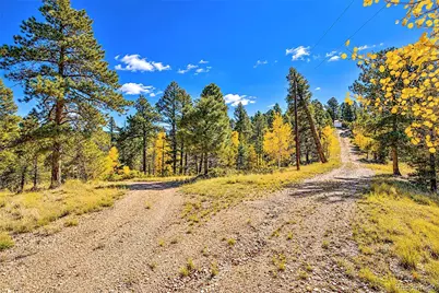 72 Buffalo Creek Trail, Florissant, CO 80816 - Photo 4