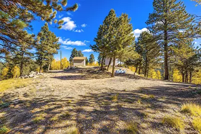 72 Buffalo Creek Trail, Florissant, CO 80816 - Photo 12