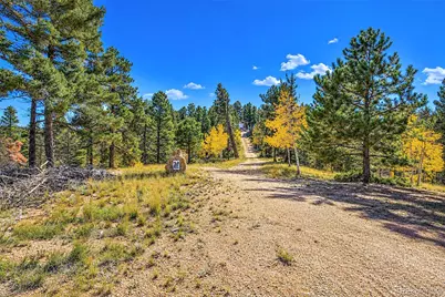 72 Buffalo Creek Trail, Florissant, CO 80816 - Photo 2