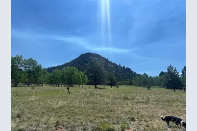 1965 Vagabond Creek Drive, Lake George, CO 80827 - Photo 4