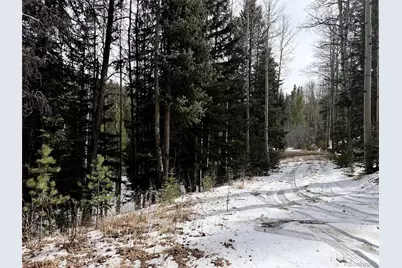 185 Columbine Drive, Idaho Springs, CO 80542 - Photo 2
