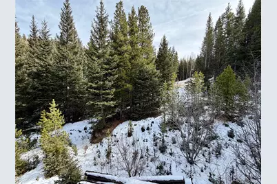 185 Columbine Drive, Idaho Springs, CO 80542 - Photo 12