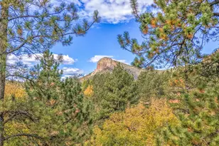 11864 S Stallion Dr, Pine, CO 80470 - Photo 2