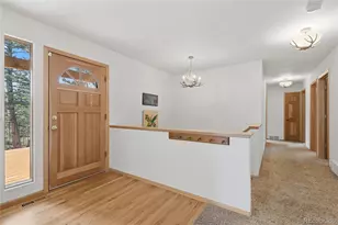 11864 S Stallion Dr, Pine, CO 80470 - Photo 12