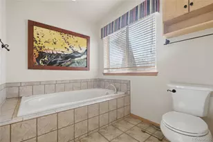 11864 S Stallion Dr, Pine, CO 80470 - Photo 16