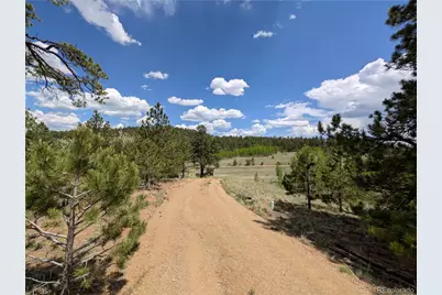 2117 Badger Creek Road, Hartsel, CO 80449 - Photo 10