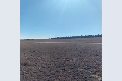 3552 Ute Trace, Hartsel, CO 80449 - Photo 10