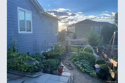 12134 Pine Top Street, Parker, CO 80138 - Photo 36