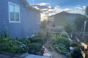 12134 Pine Top St, Parker, CO 80138 - Photo 36