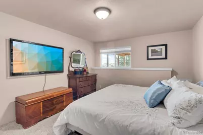 12134 Pine Top Street, Parker, CO 80138 - Photo 24