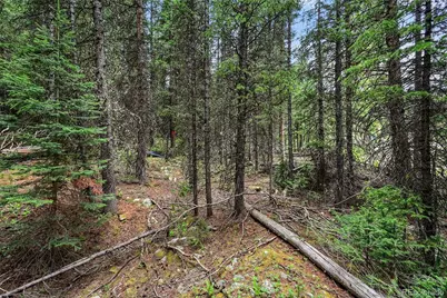 286 Cty Road 675, Breckenridge, CO 80424 - Photo 12