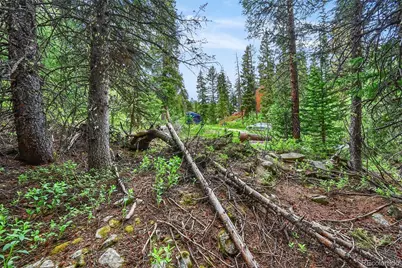 286 Cty Road 675, Breckenridge, CO 80424 - Photo 10