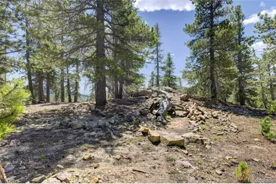 34028 Lyttle Dowdle Drive, Golden, CO 80403 - Photo 36