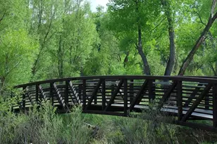 10187 W 38th Ave, Wheat Ridge, CO 80033 - Photo 44