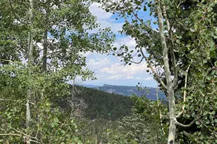 11857 Coal Creek Heights Dr, Golden, CO 80403 - Photo 42