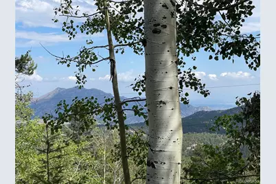 11857 Coal Creek Heights Drive, Golden, CO 80403 - Photo 6