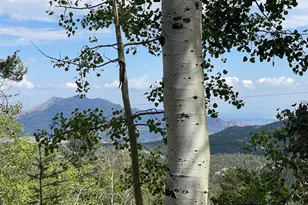 11857 Coal Creek Heights Dr, Golden, CO 80403 - Photo 6