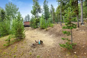 11857 Coal Creek Heights Dr, Golden, CO 80403 - Photo 38