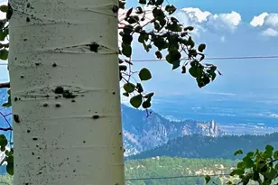 11857 Coal Creek Heights Dr, Golden, CO 80403 - Photo 4