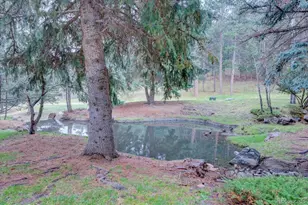 23518 Pondview Pl, Golden, CO 80401 - Photo 20