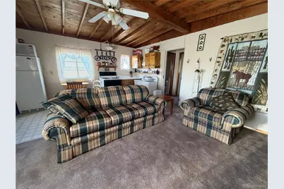 101 Doe Street, Hartsel, CO 80449 - Photo 30