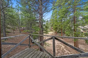 177 Sutherland Rd, Allenspark, CO 80510 - Photo 16