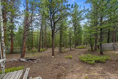 177 Sutherland Road, Allenspark, CO 80510 - Photo 32