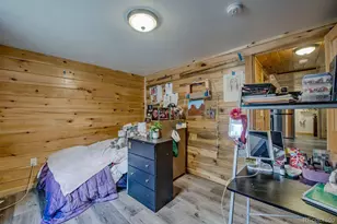 326 Bum Dr, Fairplay, CO 80440 - Photo 20