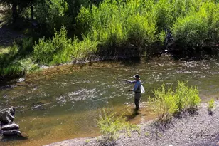 38 Lonesome Pine Dr, Antonito, CO 81120 - Photo 36