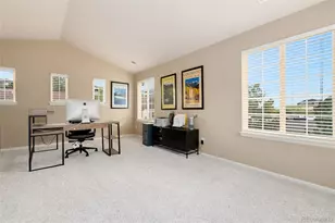 22065 Laurel Oak Dr, Parker, CO 80138 - Photo 30