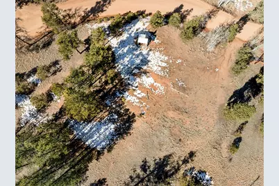 530 Columbine Road, Florissant, CO 80816 - Photo 10