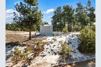 530 Columbine Road, Florissant, CO 80816 - Photo 4