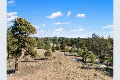 530 Columbine Road, Florissant, CO 80816 - Photo 1