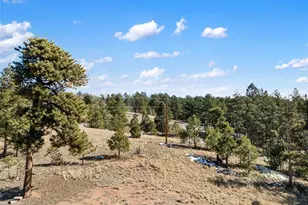 530 Columbine Rd, Florissant, CO 80816 - Photo 1