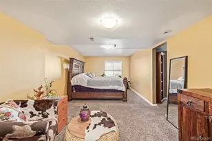 42313 Vista Ridge, Parker, CO 80138 - Photo 24