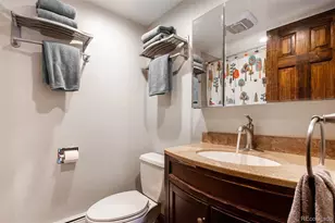 165 Wheeler Pl, Frisco, CO 80443 - Photo 18