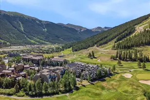 165 Wheeler Pl, Frisco, CO 80443 - Photo 34