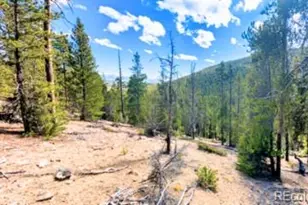111 Kevin Gulch Rd, Leadville, CO 80461 - Photo 1