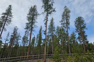 7291 Brook Forest Dr, Evergreen, CO 80439 - Photo 30